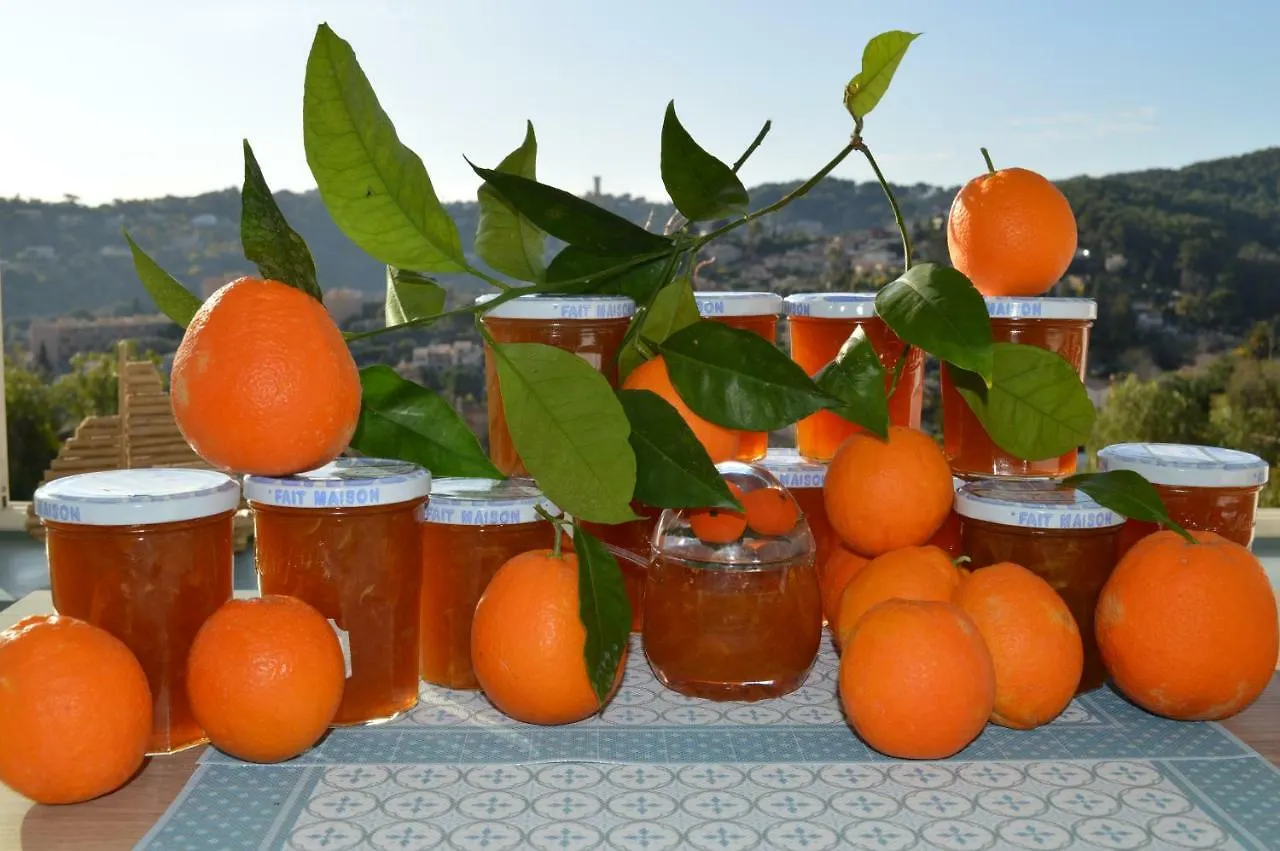 Bed & Breakfast Villa La Terre Des Lauriers Vallauris