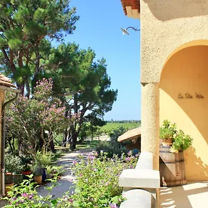 Le Clos Vitis Violès